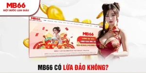 Tin đồn MB66 lừa đảo có thật không